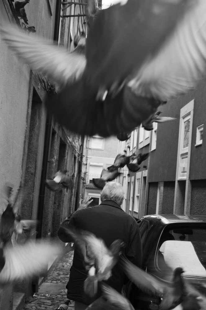 Photograph by Bruno Fernandes