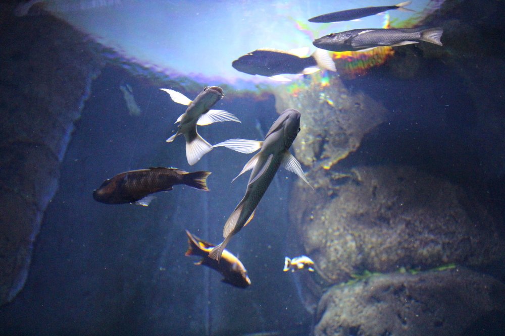 Фотография автора Андрій Майовець