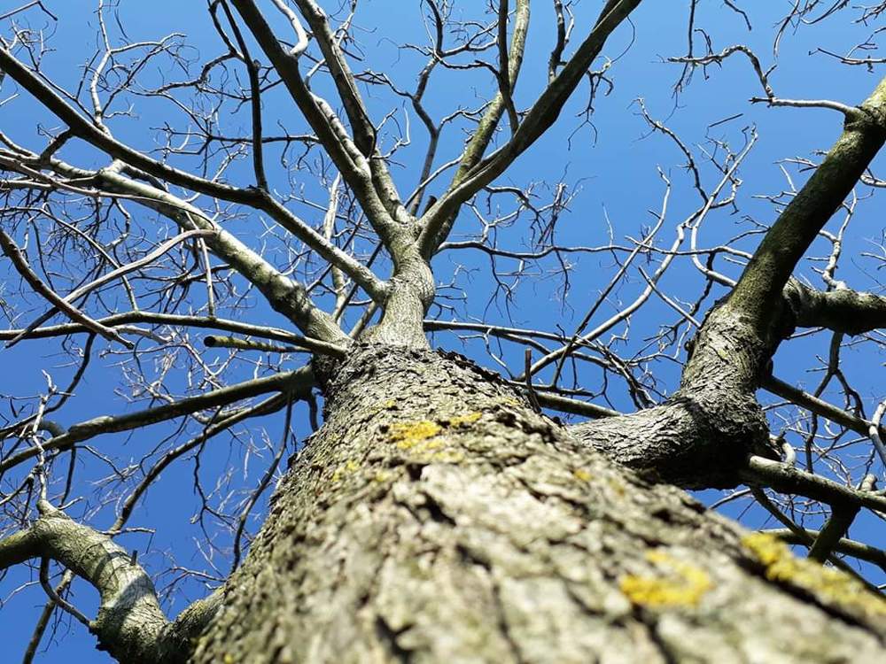 Фотография автора Gvantsa