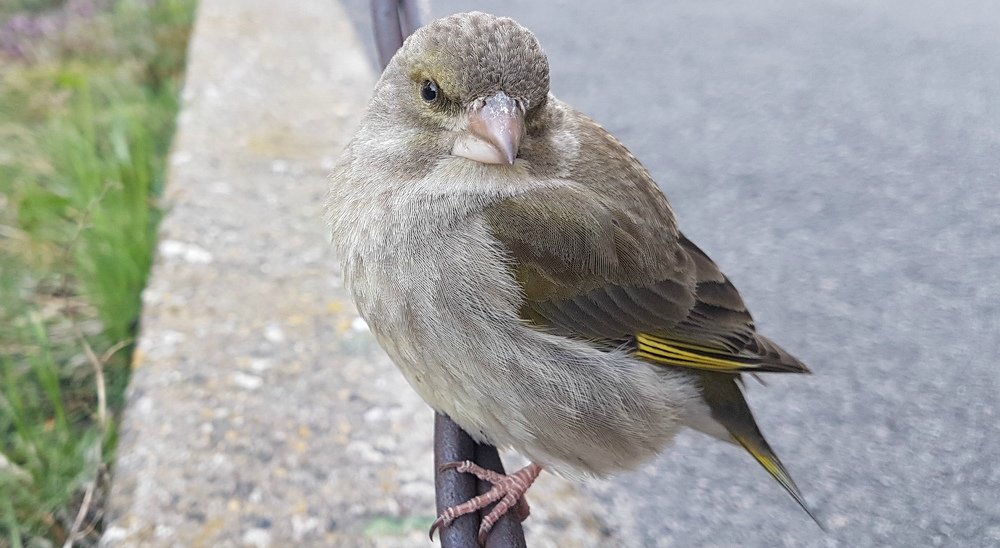 Photograph by Дмитрий Коршак