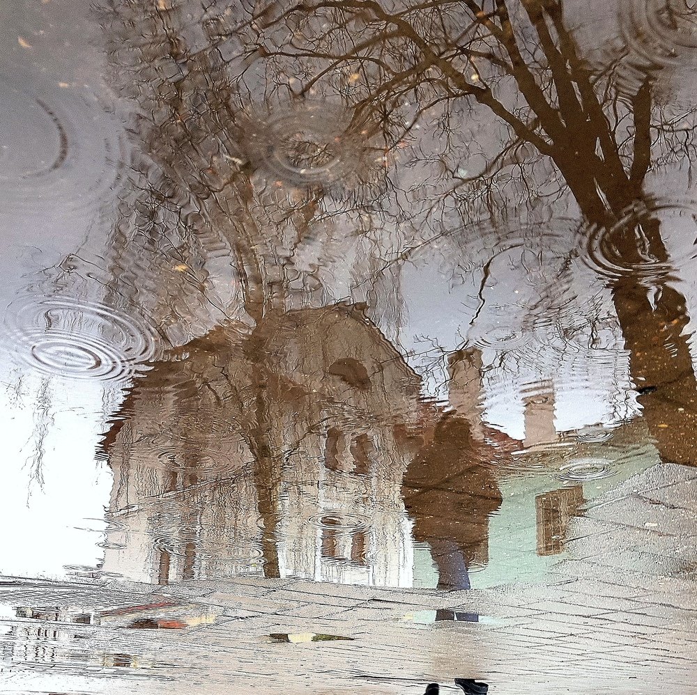 Photograph by Людмила Орловская