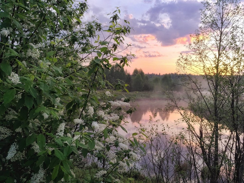 Майский рассвет