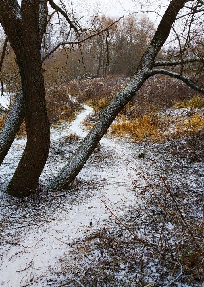 Тропинка вдоль  пруда..