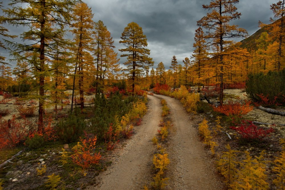 Photograph by Александр КАИ