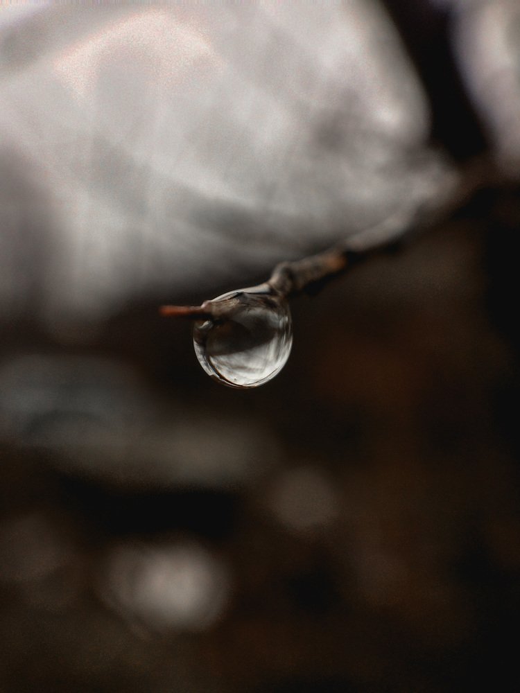 Фотография автора Анна Котлова