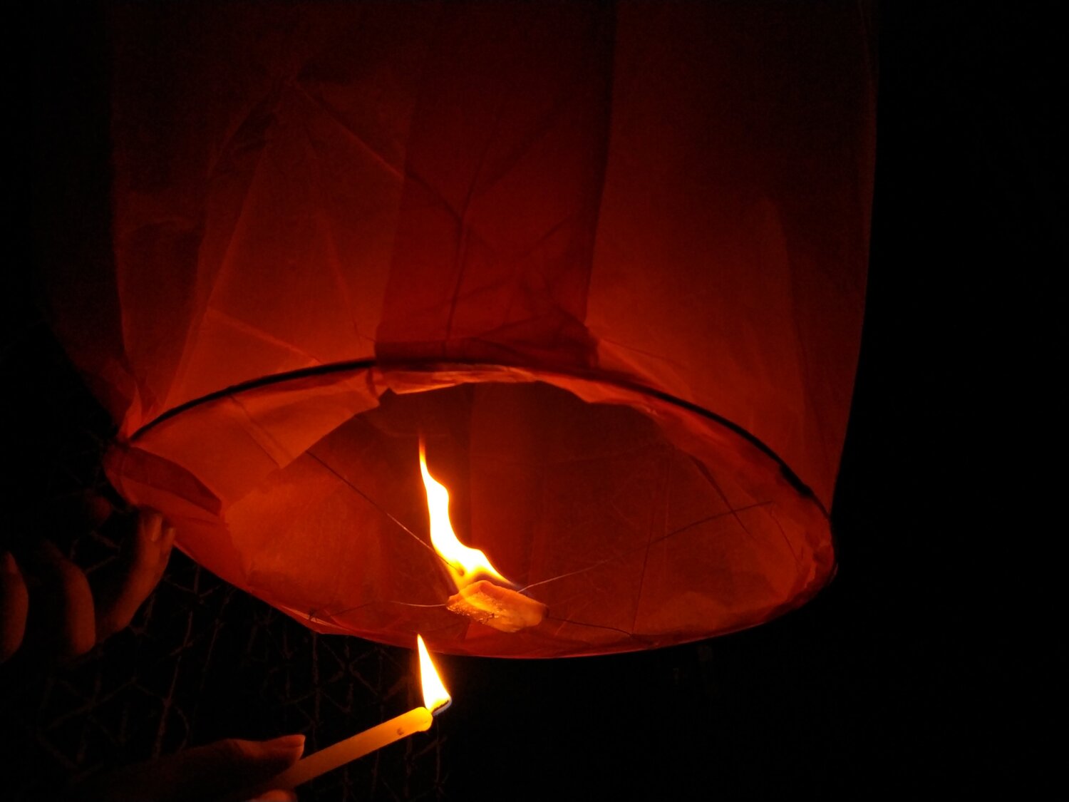 Photo #4527855