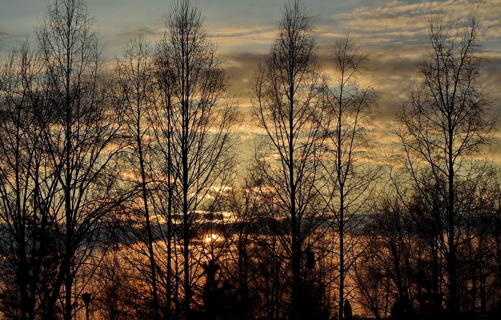 Photograph by НИНА АВЕРЬЯНОВА