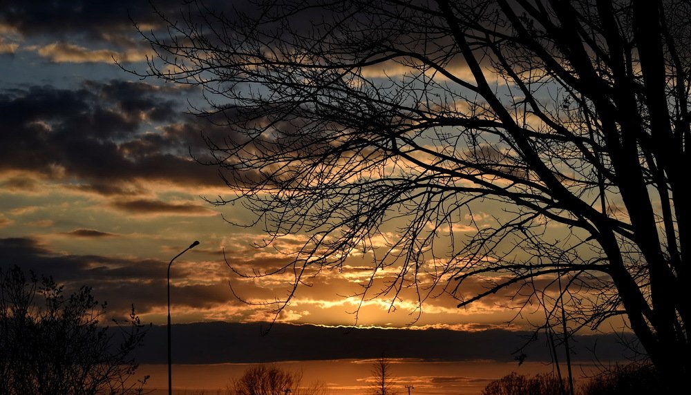 Photograph by НИНА АВЕРЬЯНОВА