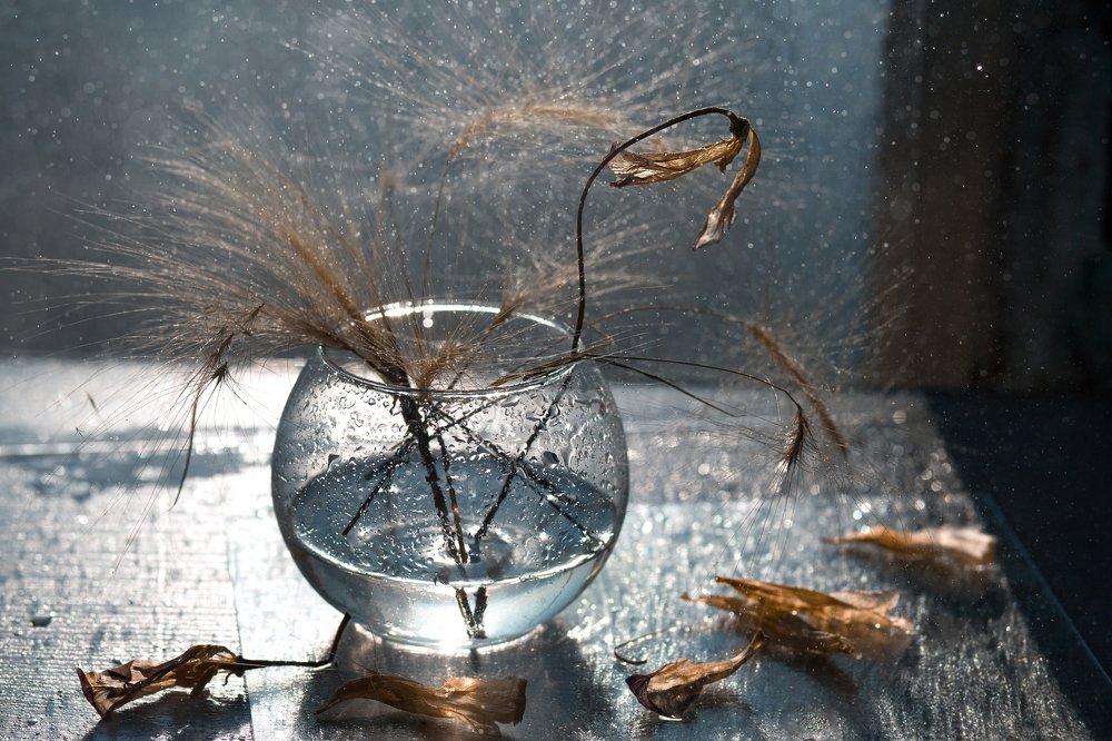 Photograph by Алена Псарева