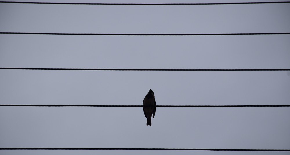 Photograph by fatemeh esmaeili