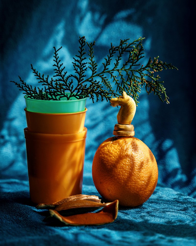 Я весь в надежде