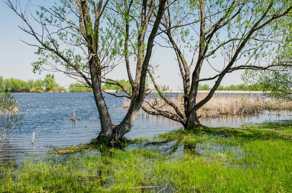 Photograph by Валерий Федяров