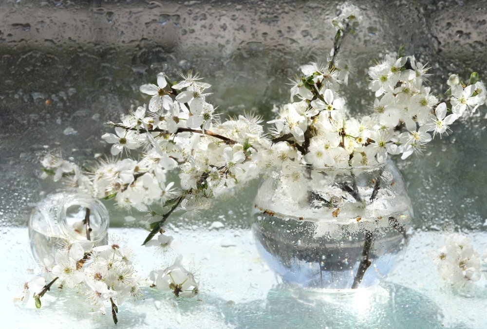 Photograph by Шруб (Беляева) Татьяна