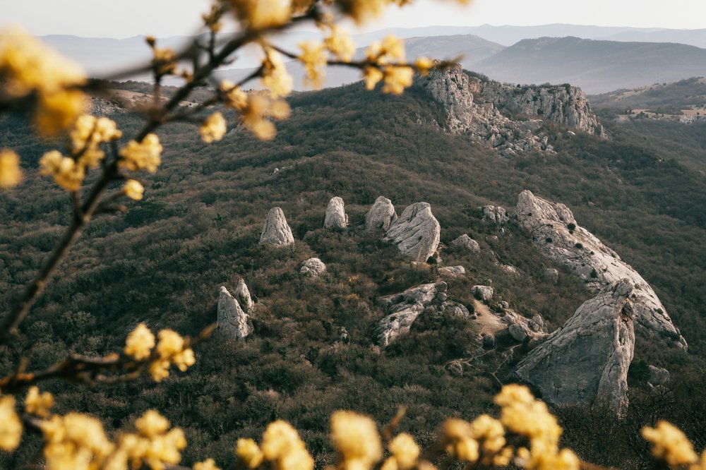 Photograph by Константин Аношин