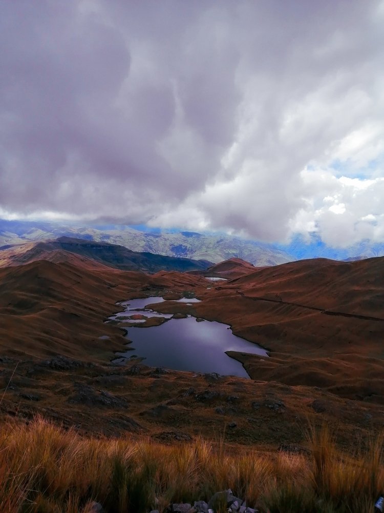 Perspectiva del cóndor de los Andes