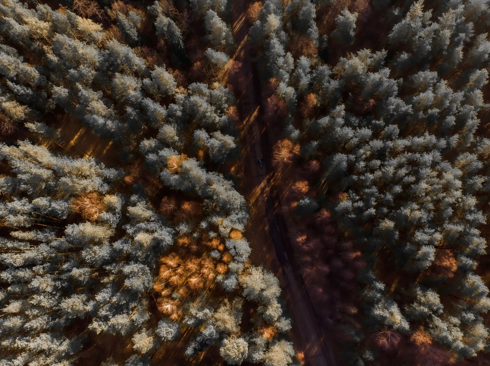 Photograph by Алексей Акулин