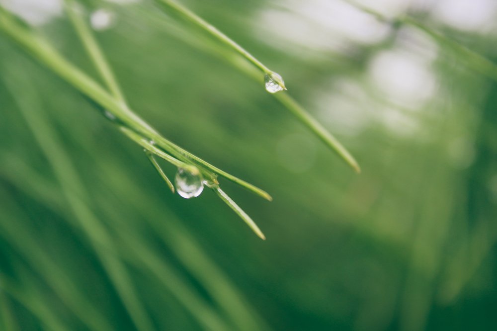 Photograph by Brian Bob