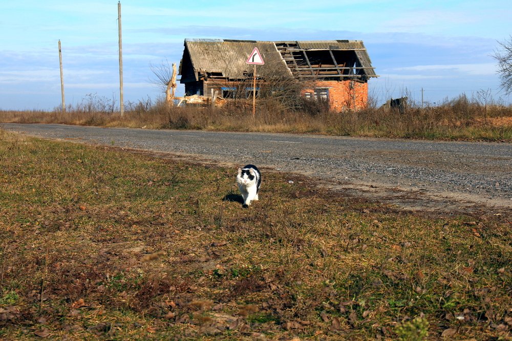 Photograph by Олег