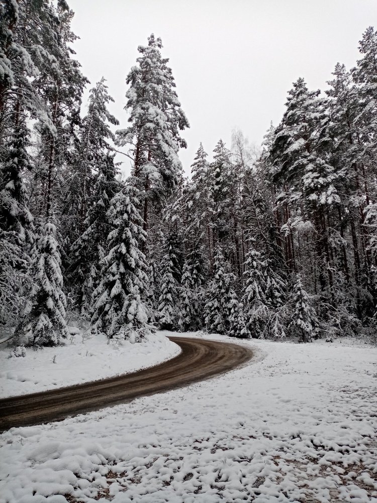 Photograph by Veronica Kravchonok