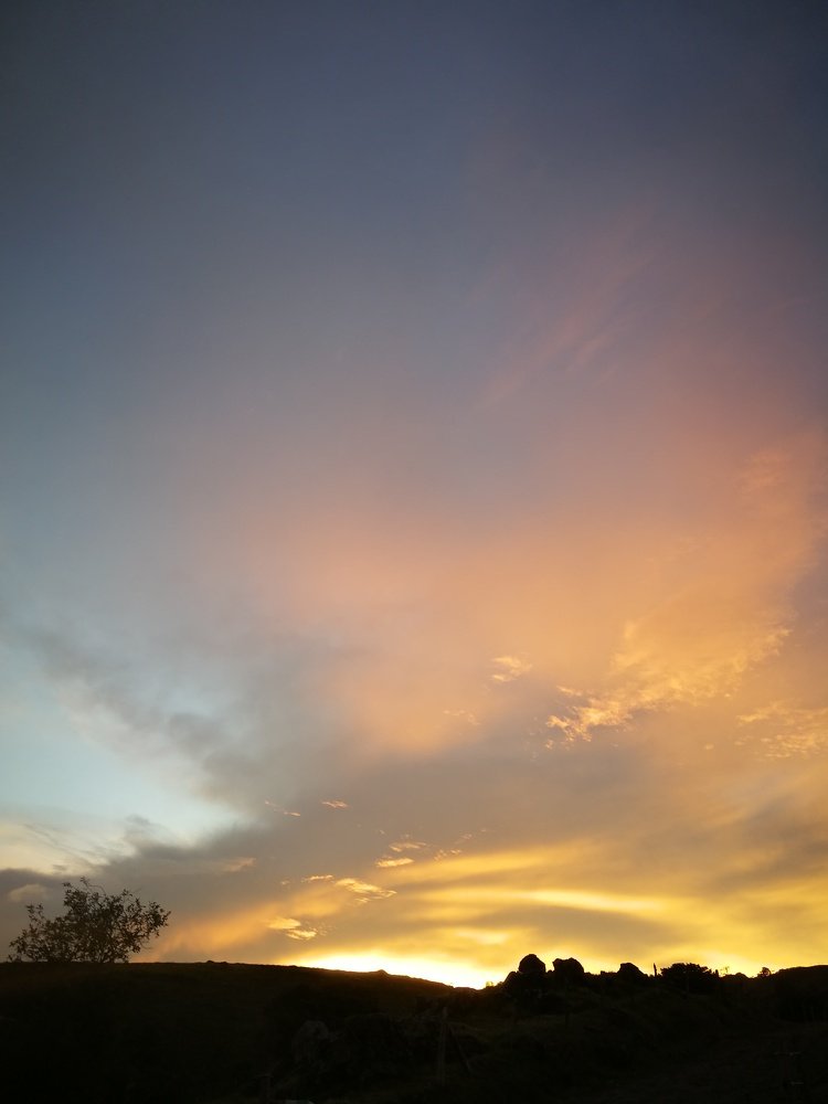 Photograph by Hazel Calvo