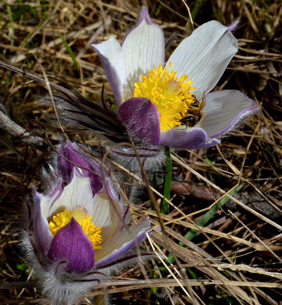 Фотография автора тимакова  нина