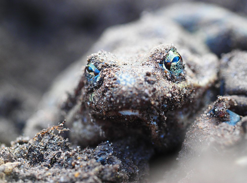 Photograph by Валерий Гришин