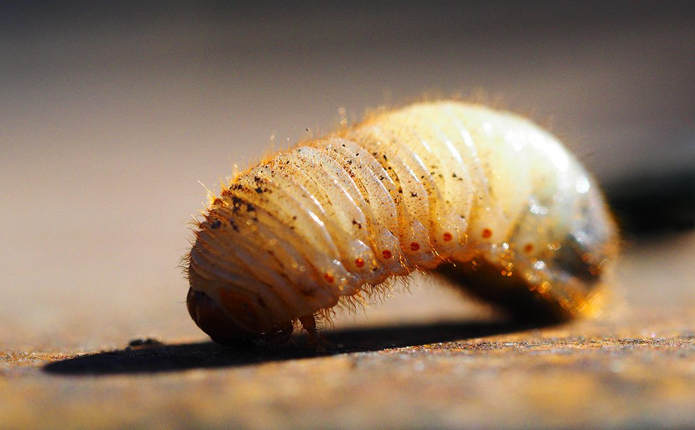 Photograph by Валерий Гришин