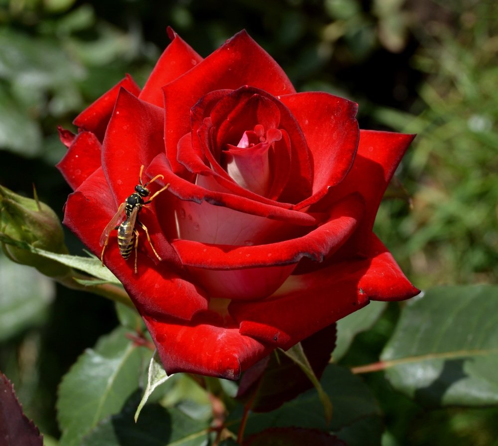 Фотография автора тимакова  нина