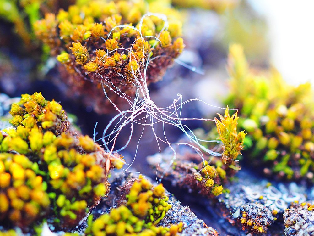 Photograph by Валерий Гришин