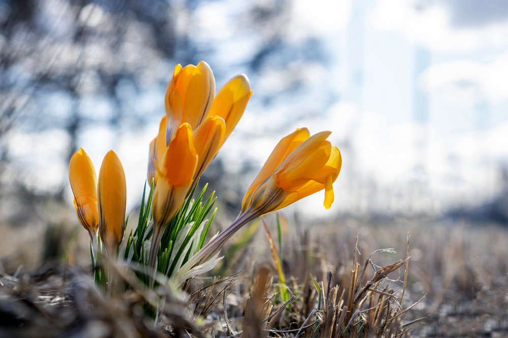 Photograph by Марина Евченко