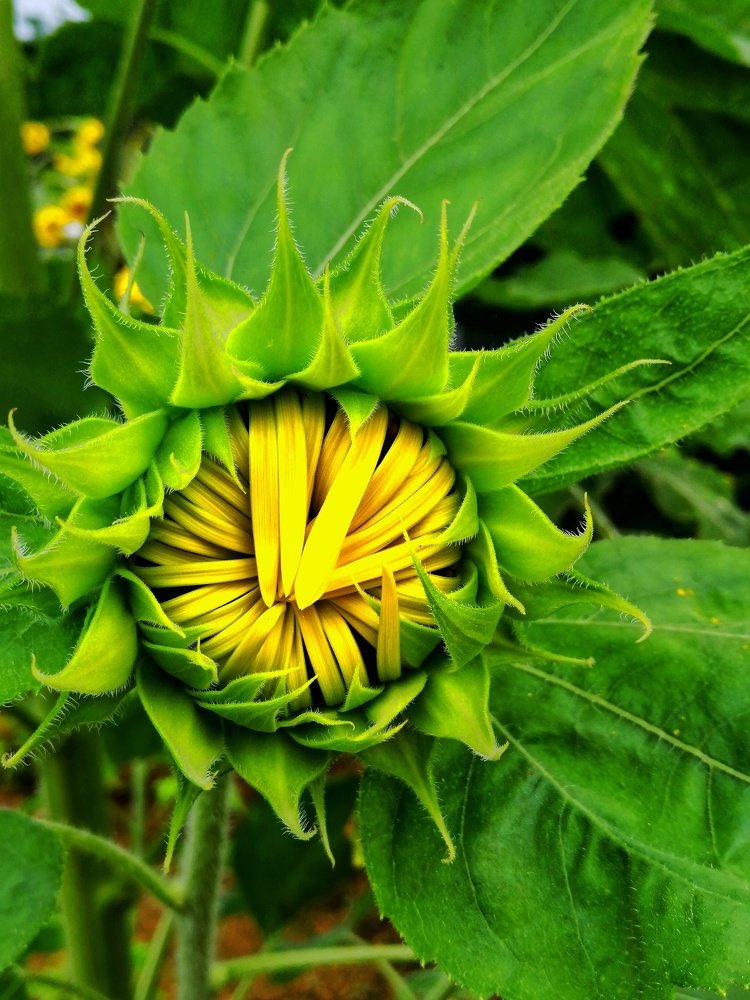 Photograph by ruel parena