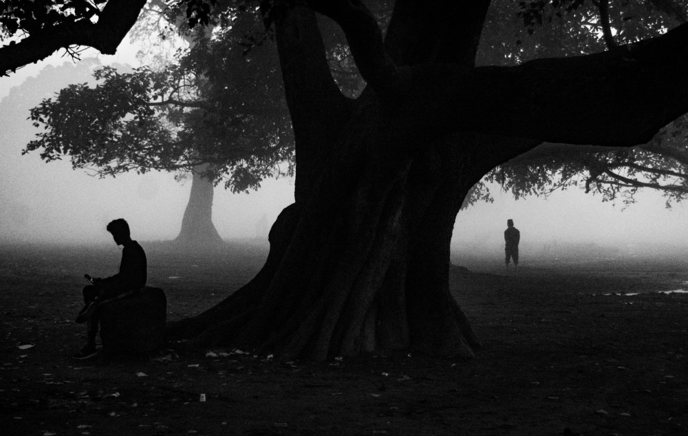 Life on Foggy Morning