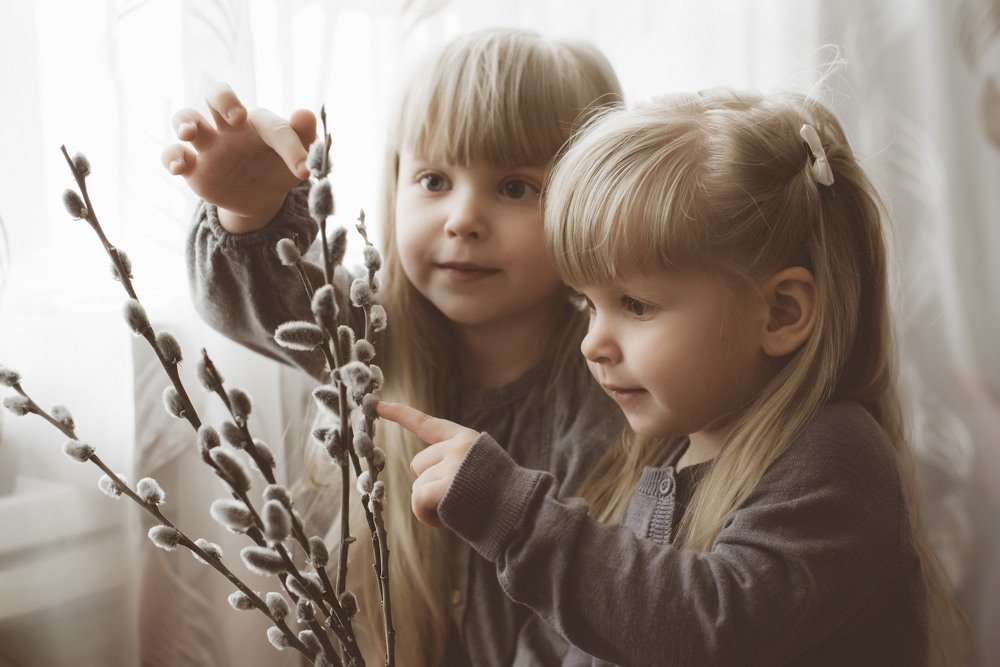 Photograph by Ольга