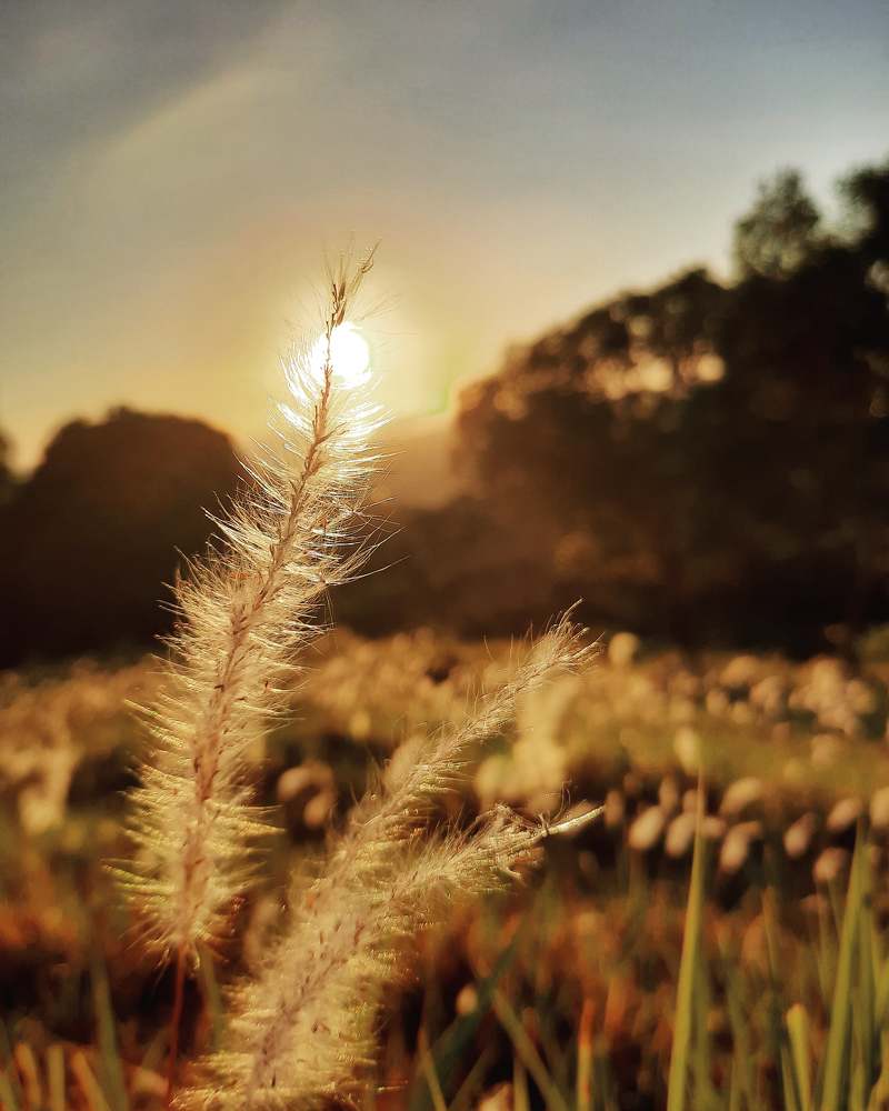 Photograph by Rhydell Pagador
