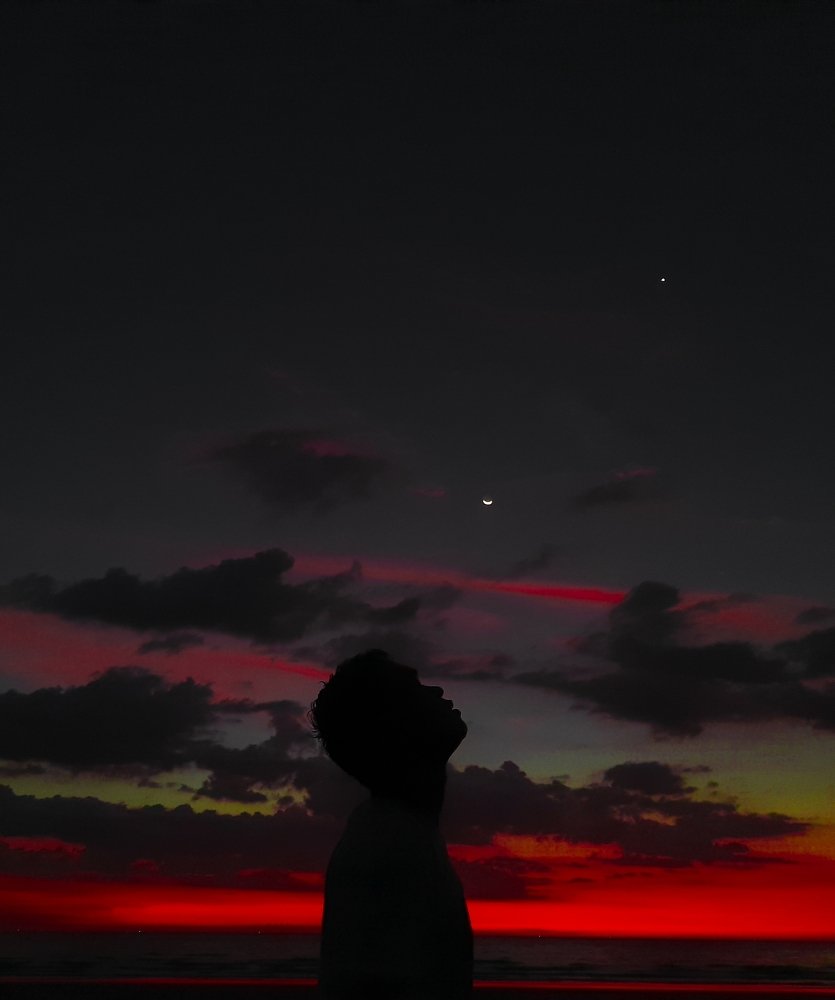 Photo #4528989