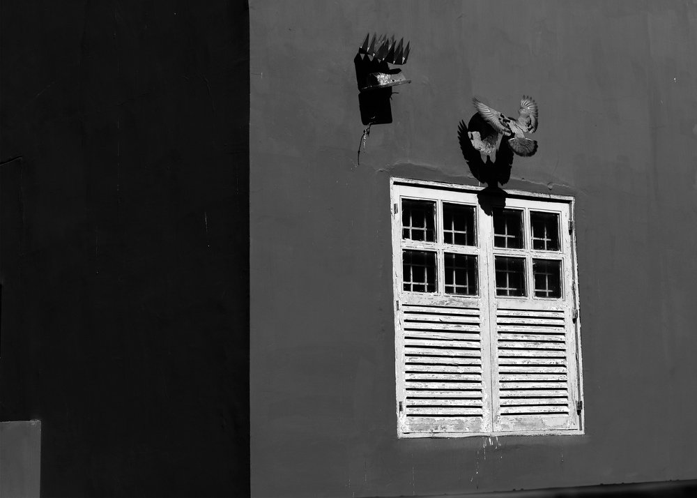 Photograph by Jainish Vig