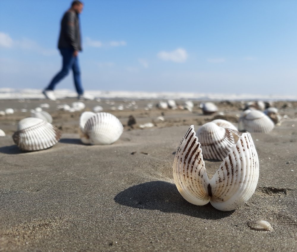 Photograph by Shorouq elkashef