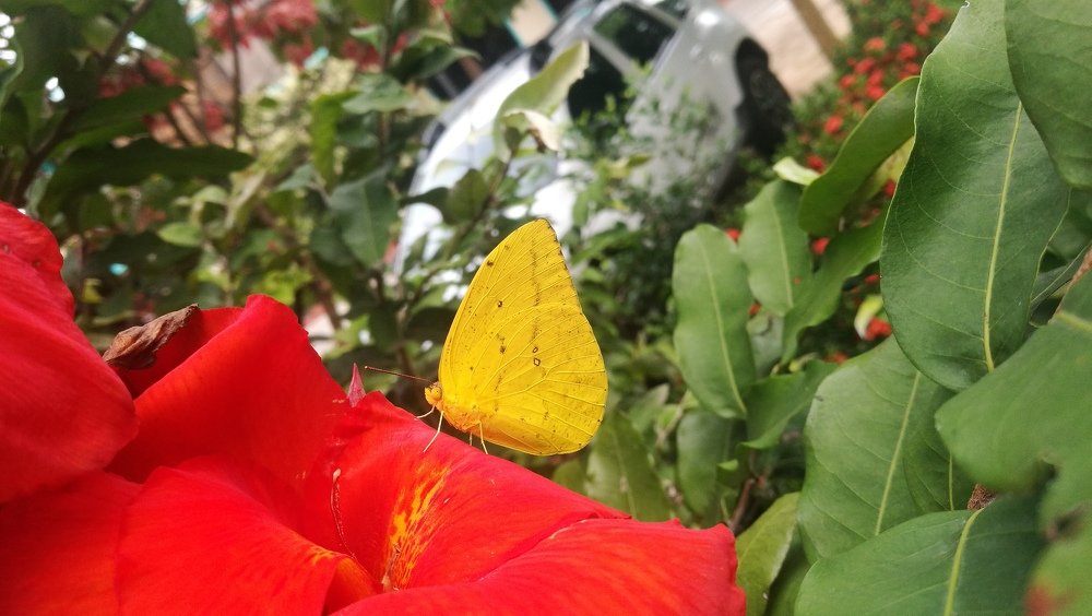 Photograph by YESID CASTRO