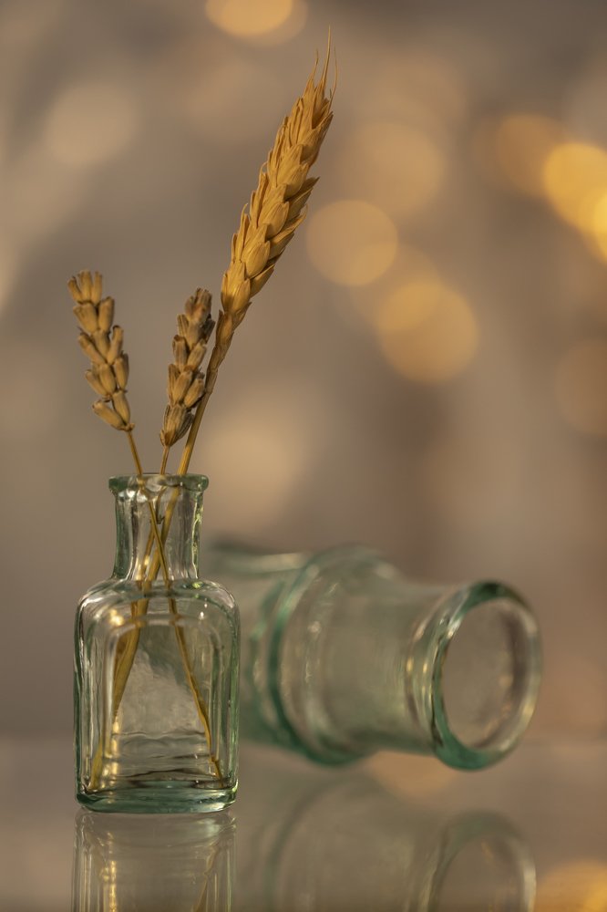 Photograph by Сергей Романченко