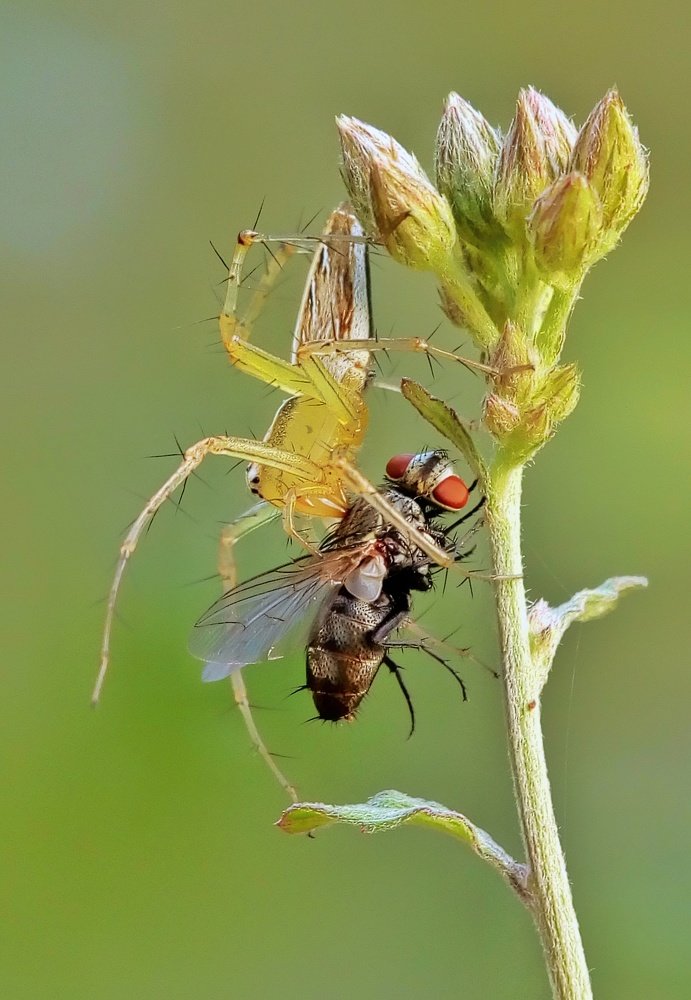 Photograph by Gurudas De