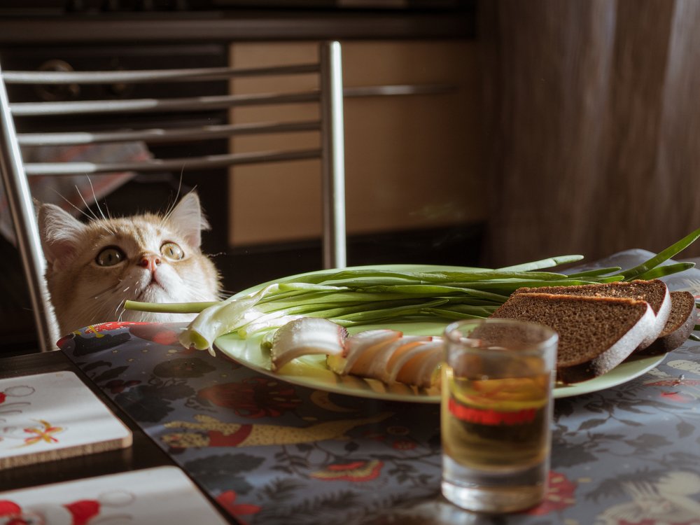 Фотография автора Валентин Ефимов