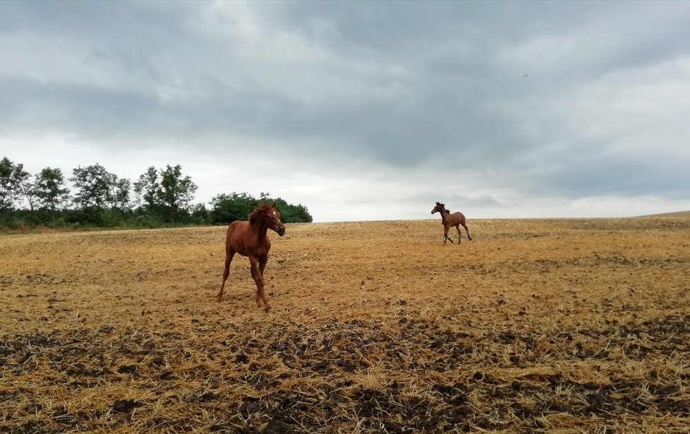 Photograph by Анна Володина