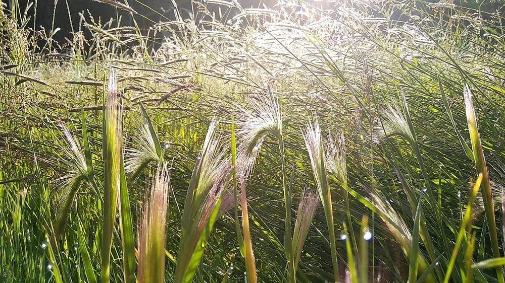 Photograph by Надежда Иванова