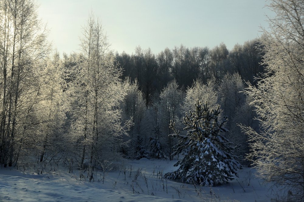 Photograph by Юлия Трап