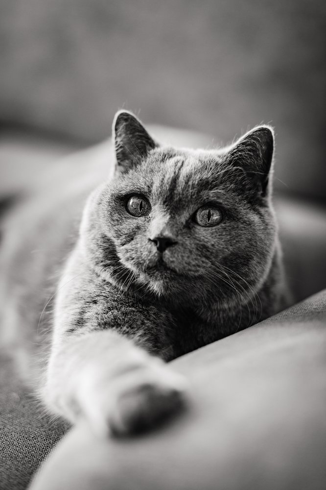 Photograph by Marya Gontar