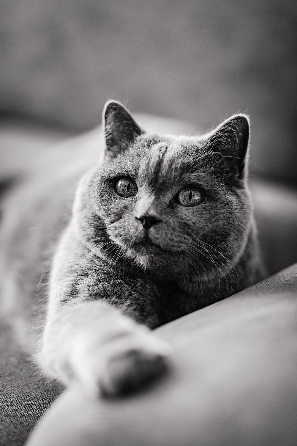 Фотография #4529459