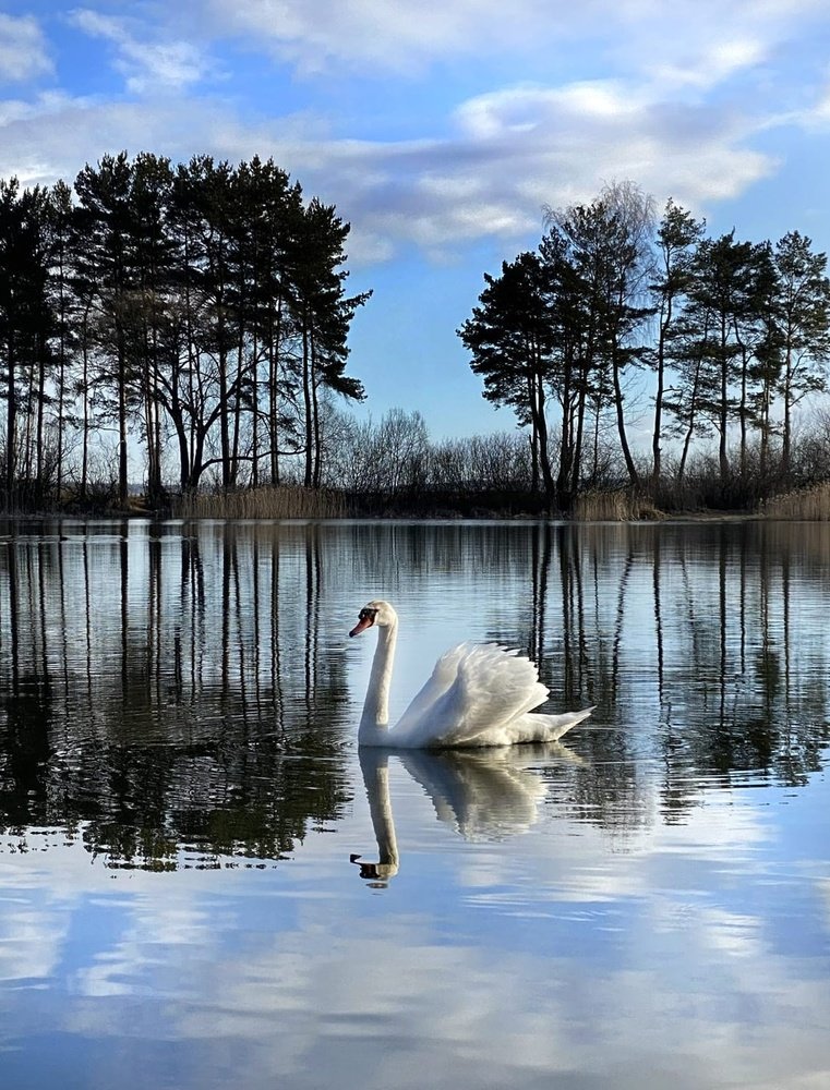 Photograph by Анатолий Андреев