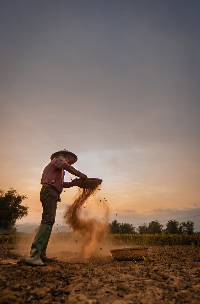 Photograph by Nguyễn Tấn