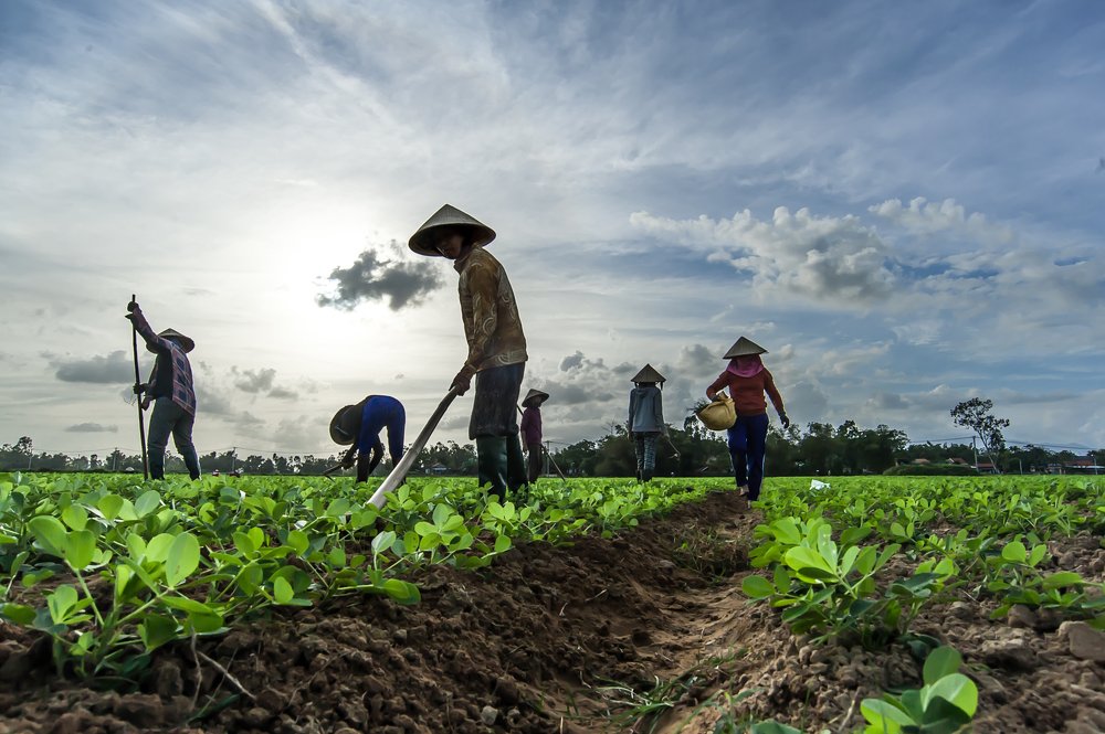 Photograph by Nguyễn Tấn