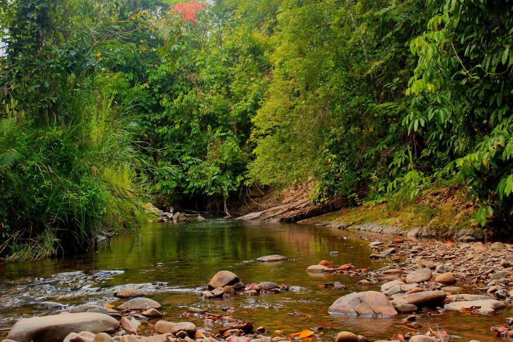River